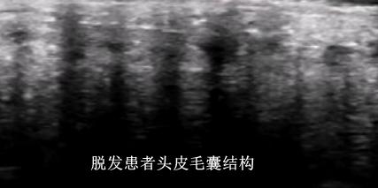 图片13